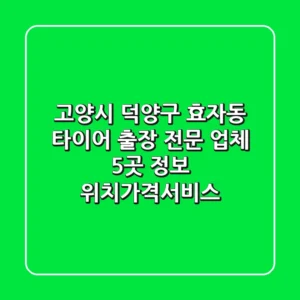 고양시 덕양구 효자동 타이어 출장 전문 업체 5곳 정보 - 위치/가격/서비스