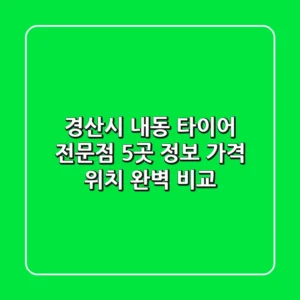 경산시 내동 타이어 전문점 5곳 정보 - 가격, 위치 완벽 비교