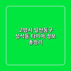 고양시 일산동구 성석동 타이어 정보 총정리