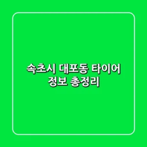 속초시 대포동 타이어 정보 총정리