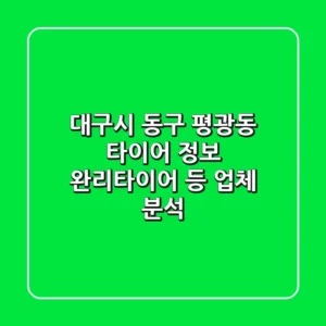 대구시 동구 평광동 타이어 정보: 완리타이어 등 업체 분석