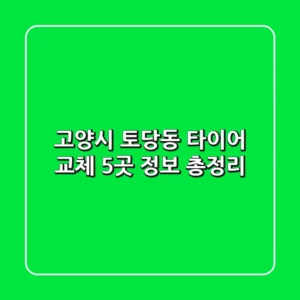 고양시 토당동 타이어 교체: 5곳 정보 총정리