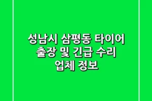 성남시 삼평동 타이어: 출장 및 긴급 수리 업체 정보