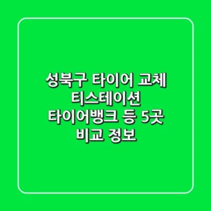 성북구 타이어 교체: 티스테이션, 타이어뱅크 등 5곳 비교 정보