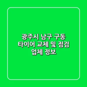 광주시 남구 구동 타이어 교체 및 점검 업체 정보
