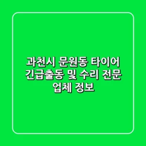과천시 문원동 타이어: 긴급출동 및 수리 전문 업체 정보