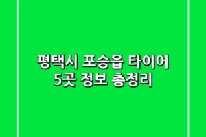 평택시 포승읍 타이어 5곳 정보 총정리