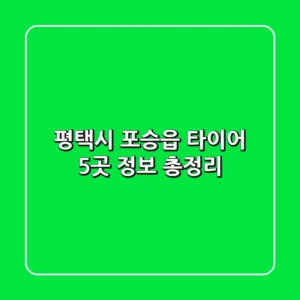 평택시 포승읍 타이어 5곳 정보 총정리