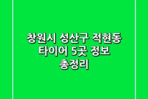 창원시 성산구 적현동 타이어: 5곳 정보 총정리