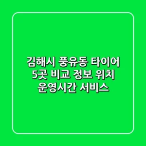 김해시 풍유동 타이어 5곳 비교 정보 - 위치, 운영시간, 서비스