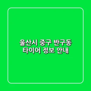 울산시 중구 반구동 타이어 정보 안내