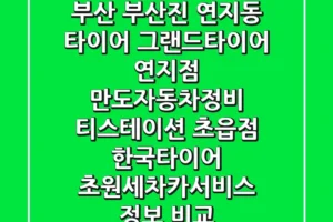 부산 부산진 연지동 타이어: 그랜드타이어 연지점, 만도자동차정비, 티스테이션 초읍점, 한국타이어 초원세차카서비스 정보 비교