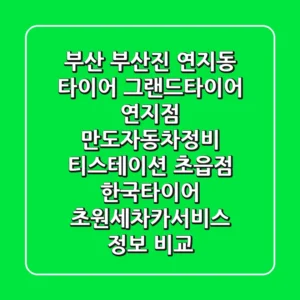 부산 부산진 연지동 타이어: 그랜드타이어 연지점, 만도자동차정비, 티스테이션 초읍점, 한국타이어 초원세차카서비스 정보 비교